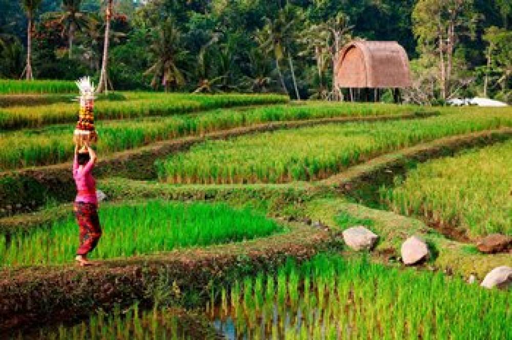 Mandapa - A Ritz-Carlton Reserve 3