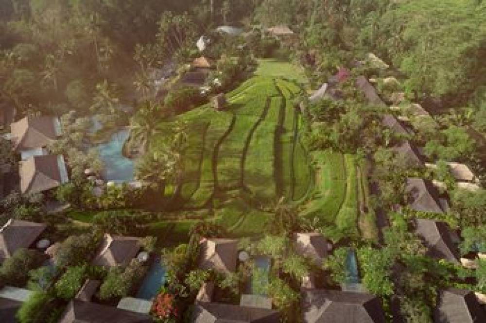 Mandapa - A Ritz-Carlton Reserve 5