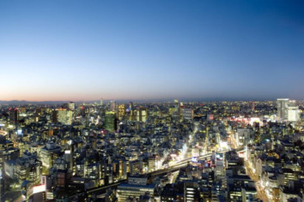 Mandarin Oriental Tokyo 4