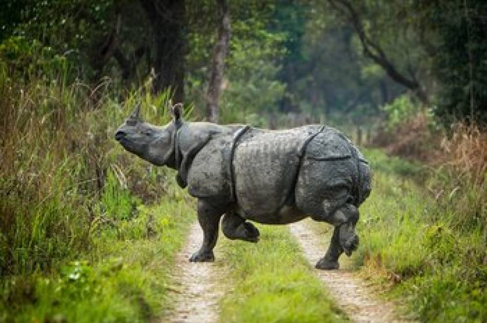 MEGHAULI SERAI CHITWAN 2