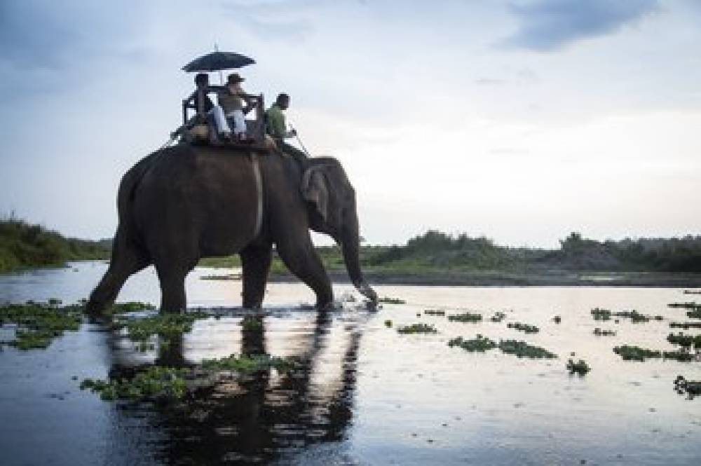 Meghauli Serai Chitwan