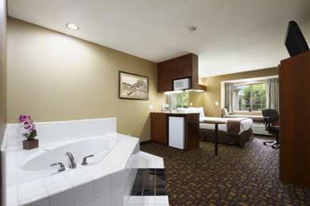 Microtel Inn & Suites By Wyndham Lithonia/Stone Mountain 7