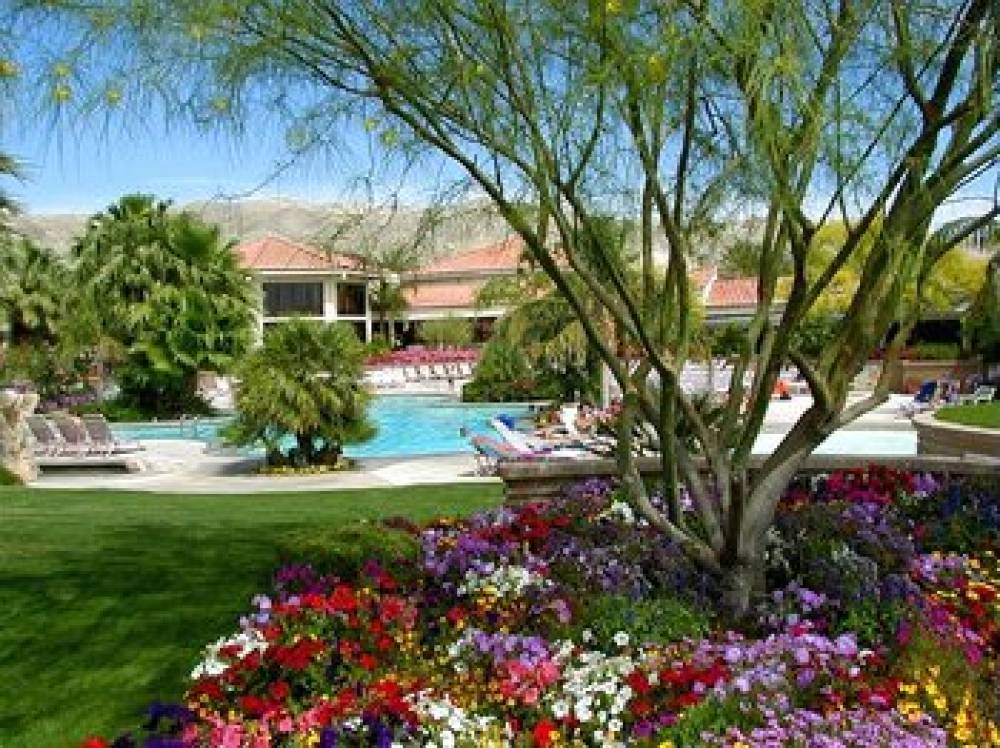 Miracle Springs Resort And Spa 2