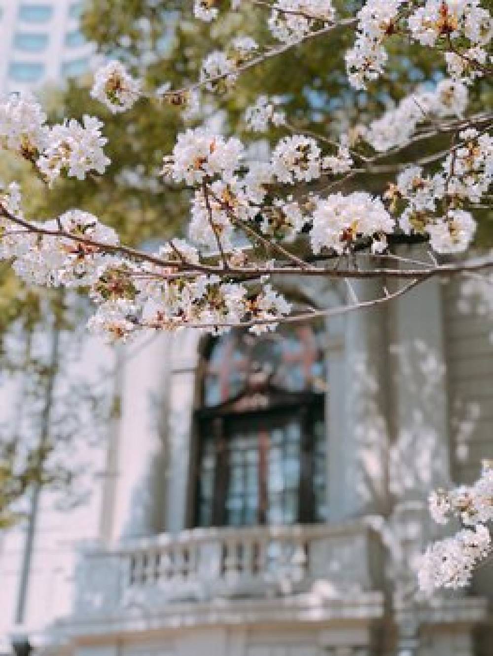 Okura Garden Hotel Shanghai 9