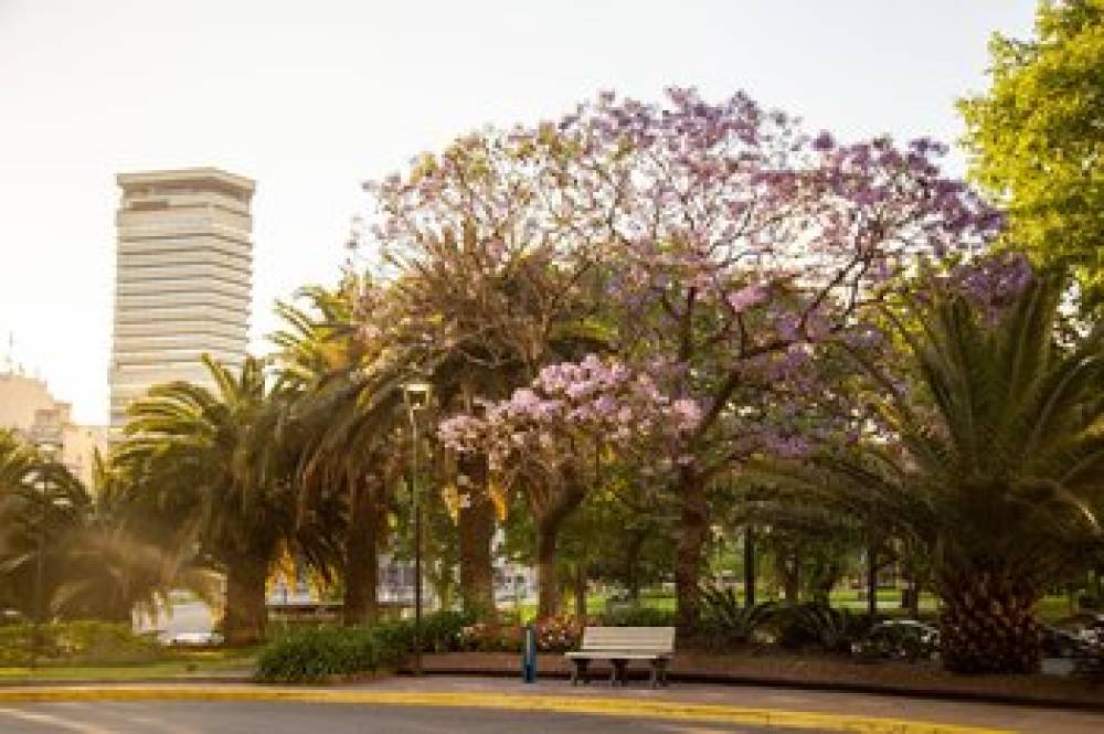 Park Tower A Luxury Collection Hotel Buenos Aires 2