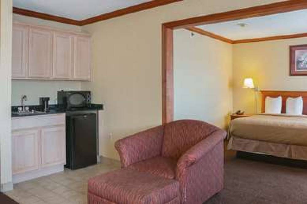 QUALITY INN & SUITES DETROIT METRO 9