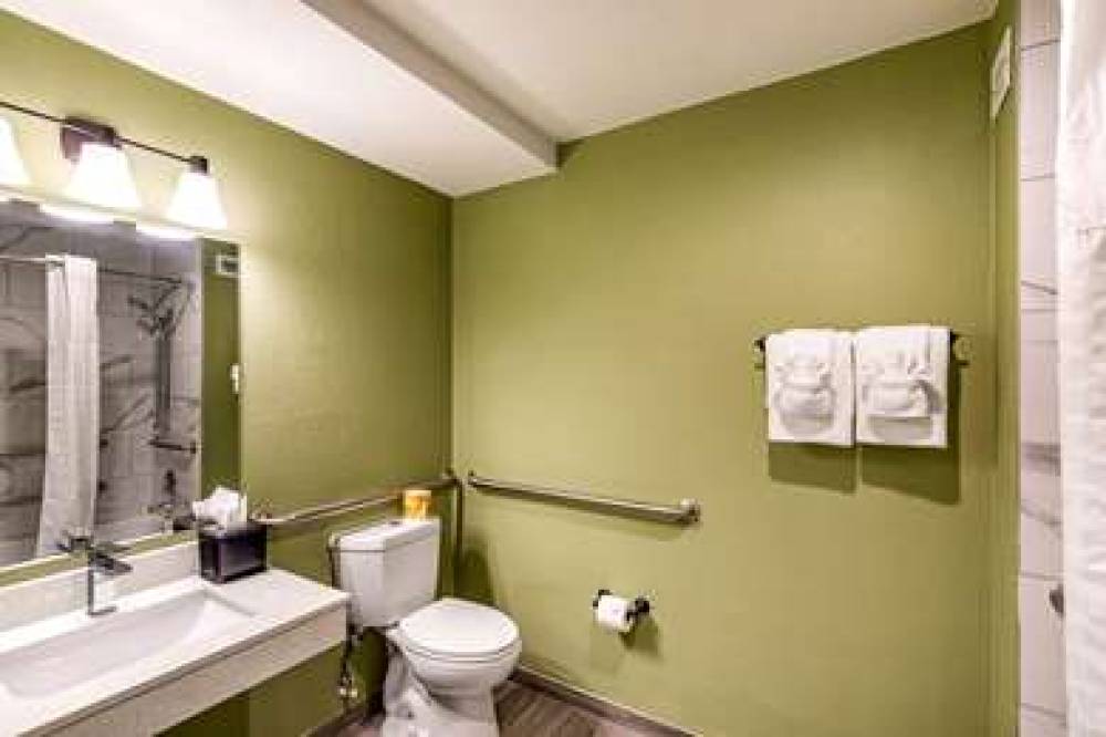 Quality Inn & Suites Plano East - Richardson 4