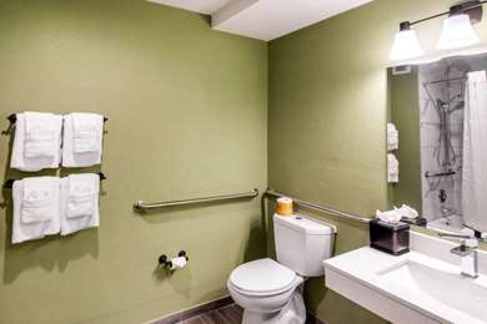 Quality Inn & Suites Plano East - Richardson 6