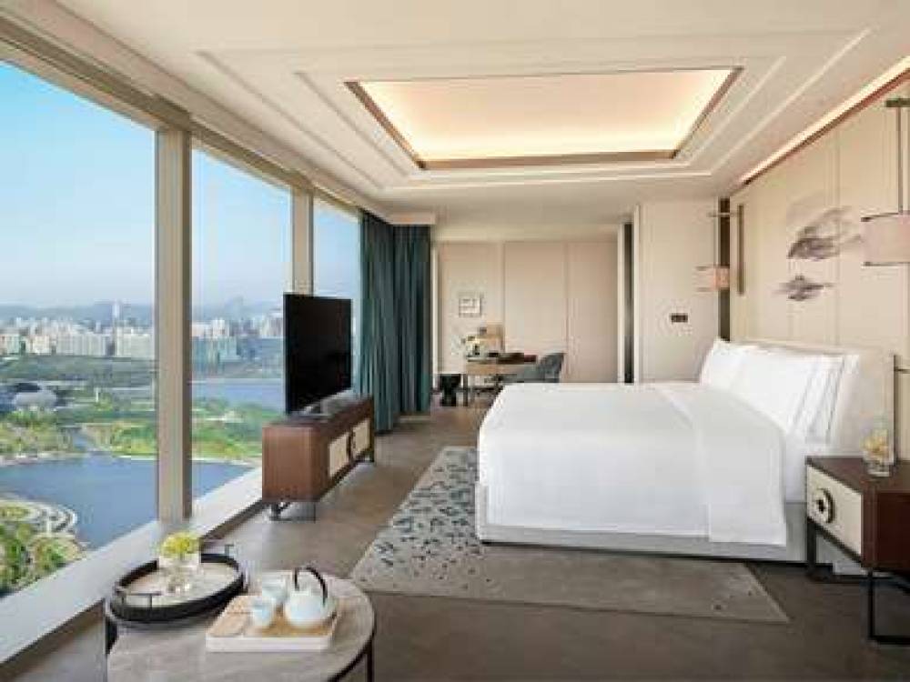 RAFFLES SHENZHEN 6