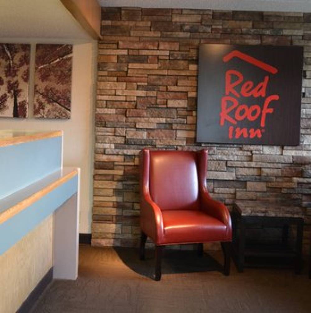 Red Roof Inn Benton Harbor - St Joseph  3