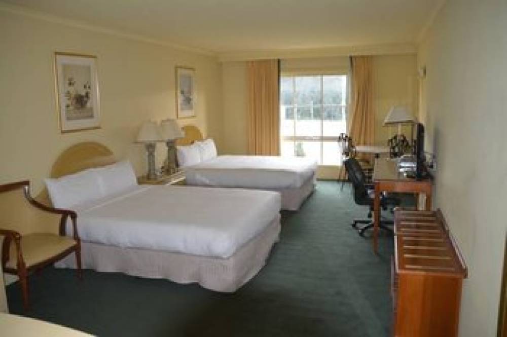 ROWVILLE INTERNATIONAL HOTEL 5