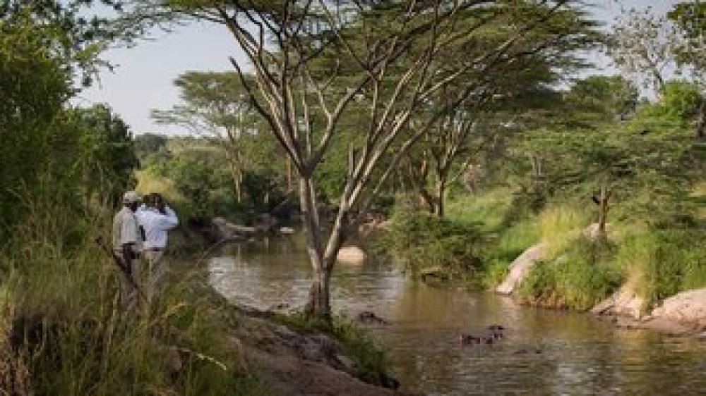 Serengeti Migration Camp