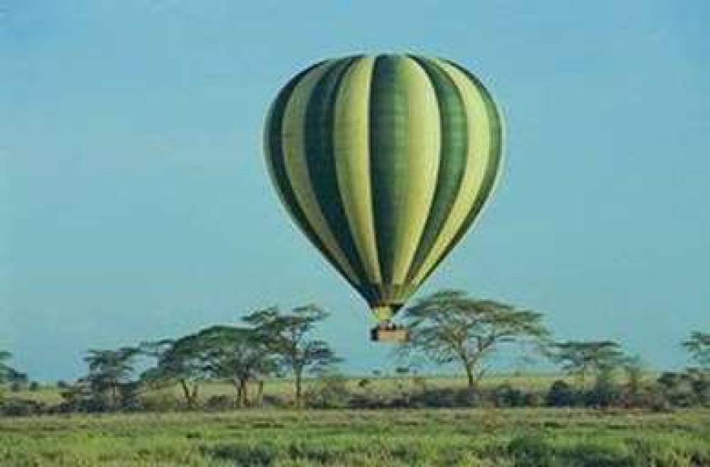 Serengeti Serena Safari Lodge 6