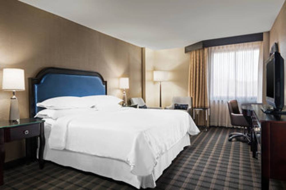 Sheraton Charlotte Airport Hotel 7