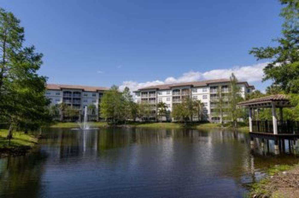 Sheraton Vistana Villages Resort Villas I-Drive Orlando 4