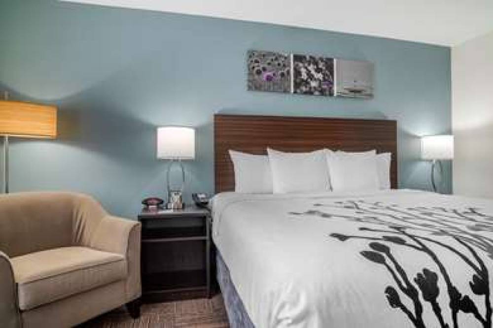 SLEEP INN AND SUITES HOUSTON 9