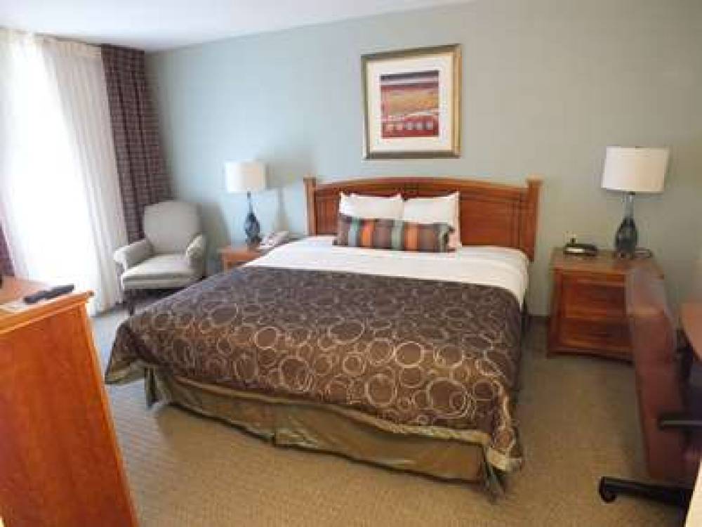 SONESTA ES SUITES TORONTO 8