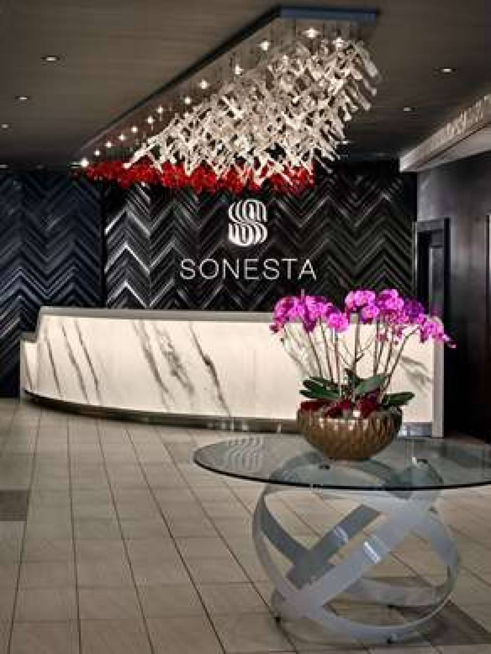 SONESTA PHILADELPHIA DOWNTOWN 7