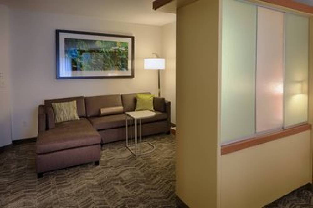 SpringHill Suites By Marriott Albany-Colonie 9