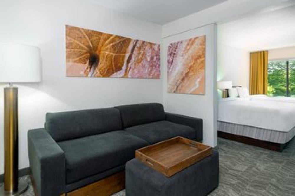 SpringHill Suites By Marriott Asheville 10