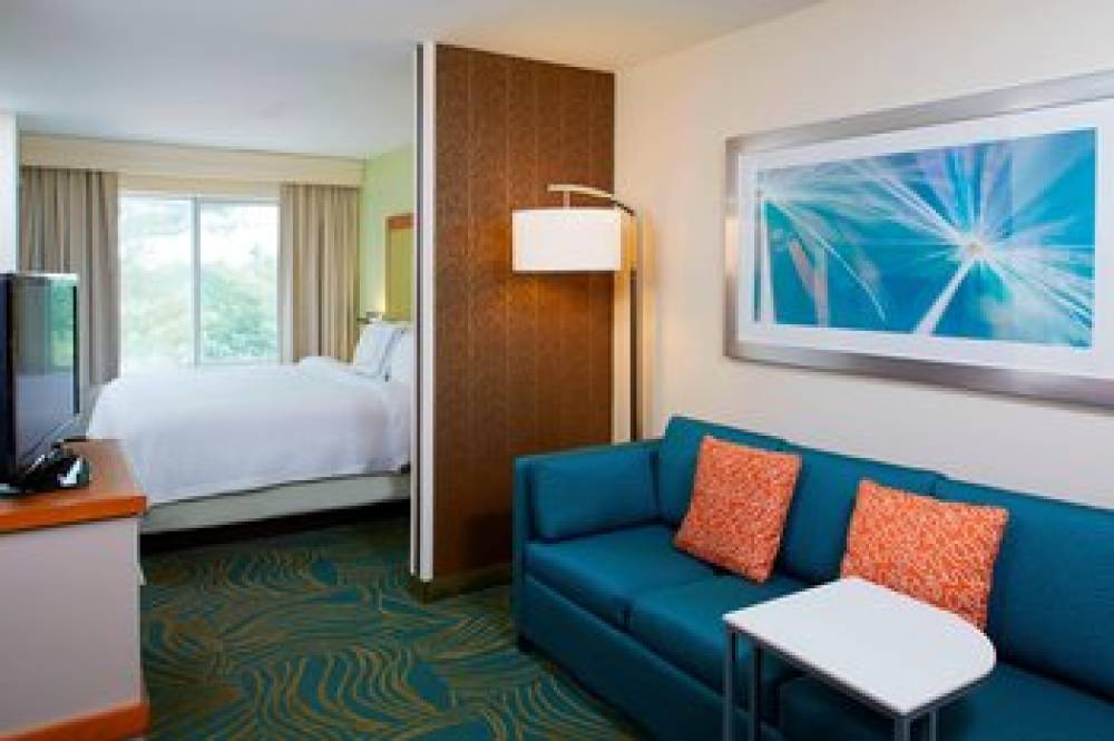 SpringHill Suites By Marriott Atlanta Six Flags 6