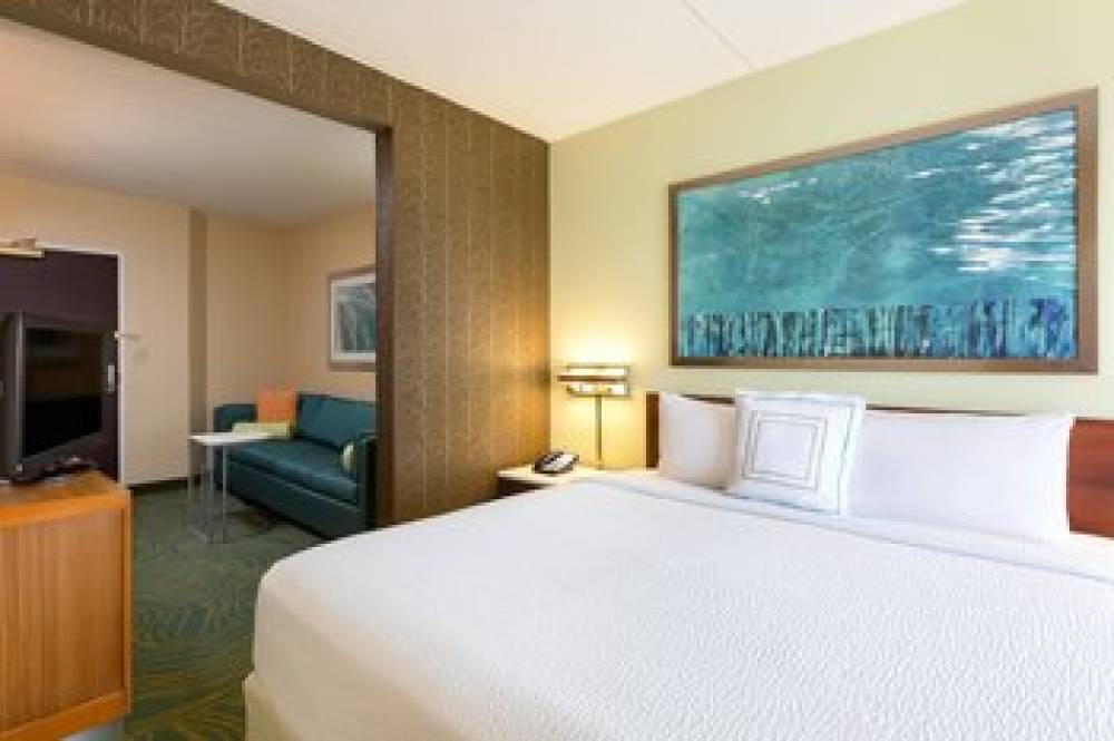 SpringHill Suites By Marriott Austin South 8