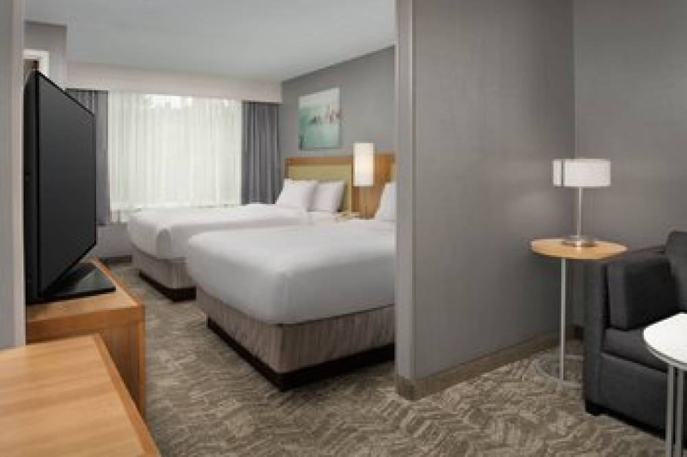 SpringHill Suites By Marriott Boise ParkCenter 6