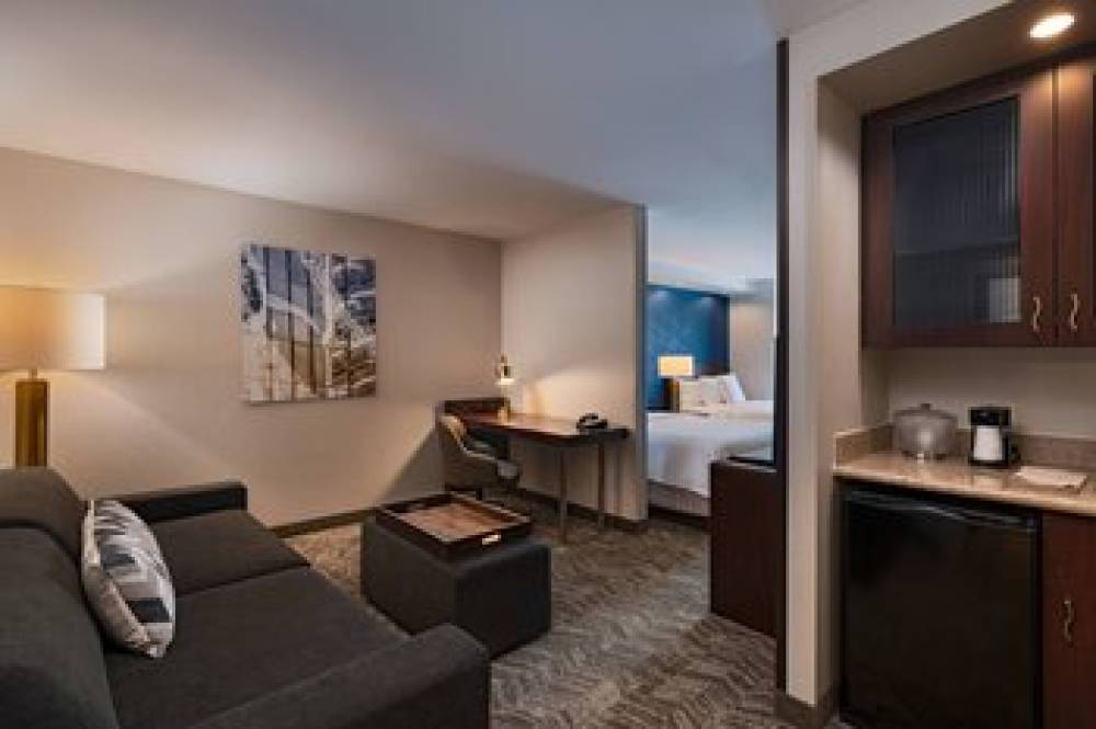 SpringHill Suites By Marriott Boise West-Eagle 10