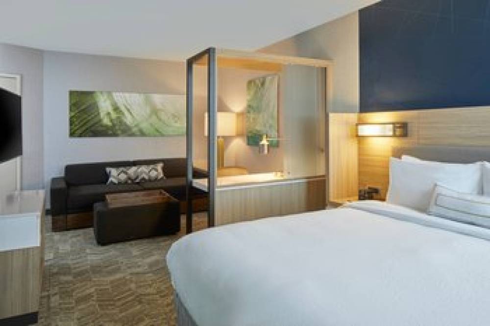 SpringHill Suites By Marriott Charlotte At Carowinds 9