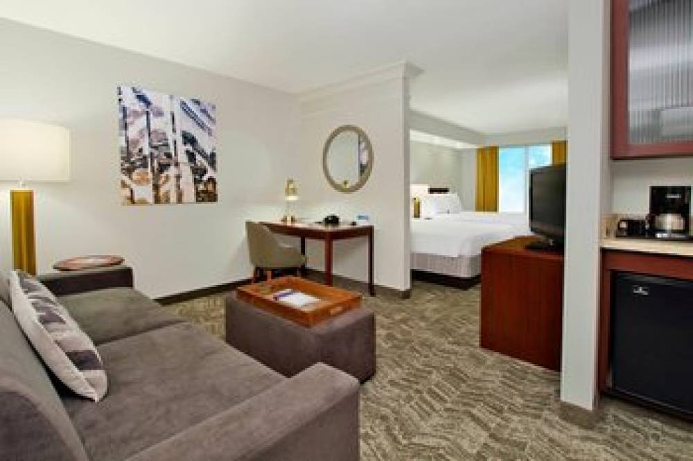 SpringHill Suites By Marriott Chesapeake Greenbrier 8