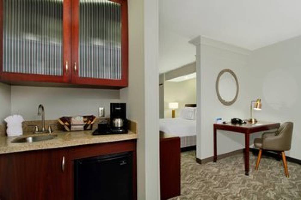 SpringHill Suites By Marriott Chesapeake Greenbrier 5