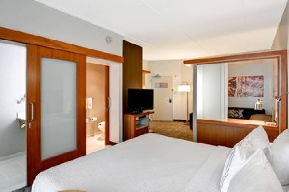 SpringHill Suites By Marriott Cincinnati Airport South 10