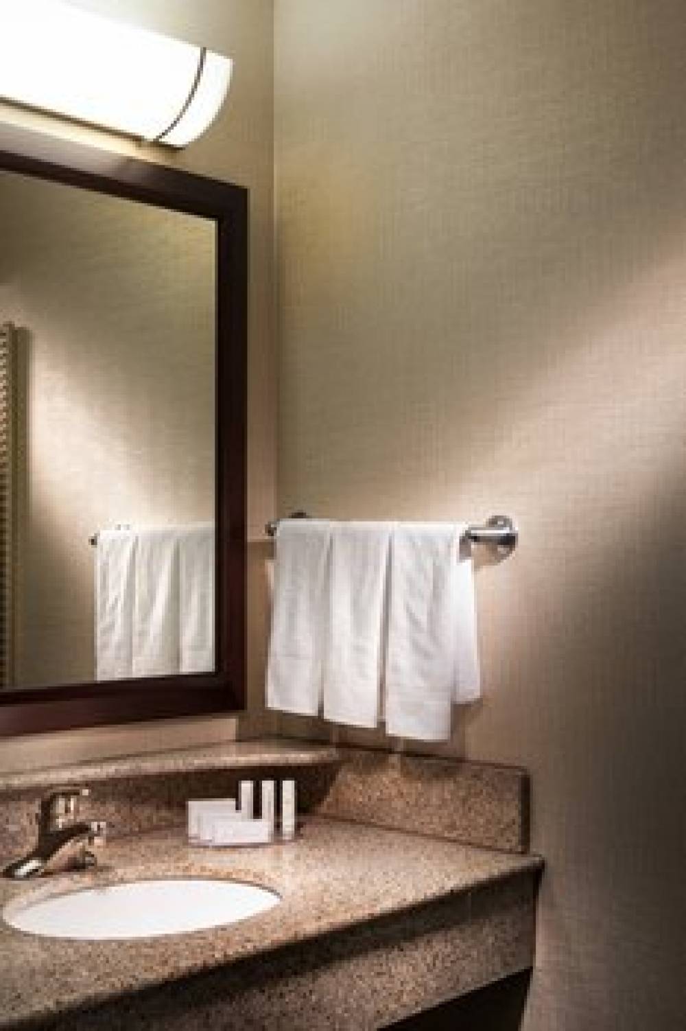 SpringHill Suites By Marriott Dallas DFW Airport North-Grapevine 6