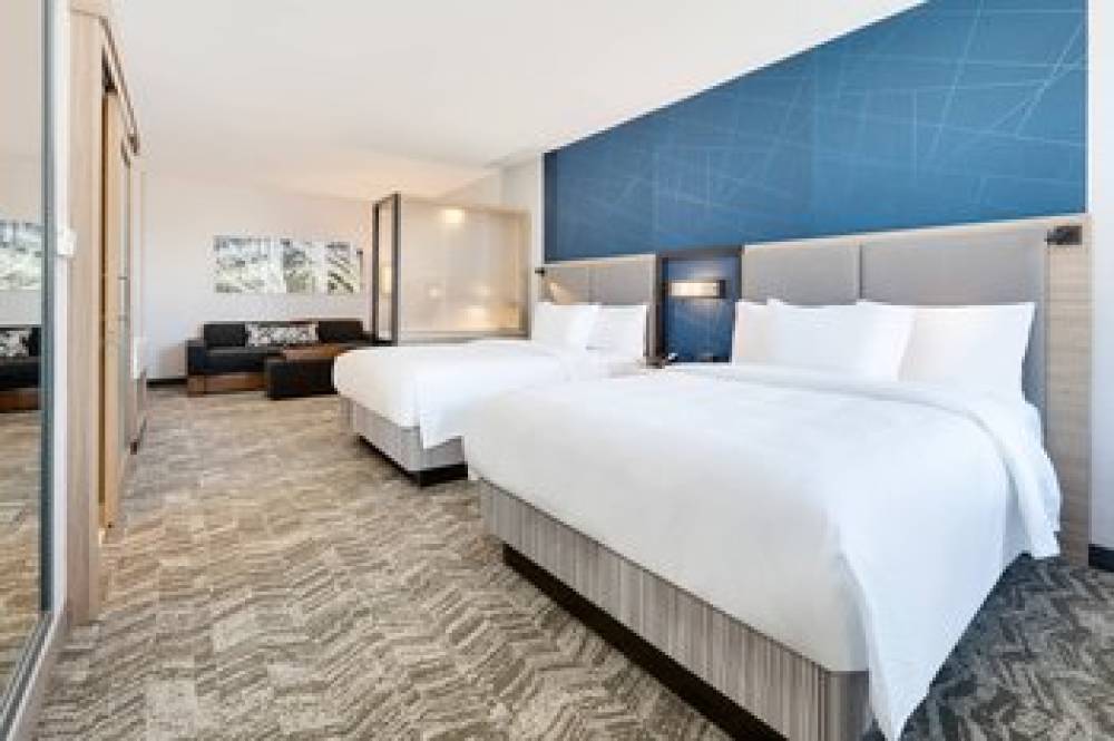 SpringHill Suites By Marriott Dallas Mansfield 10