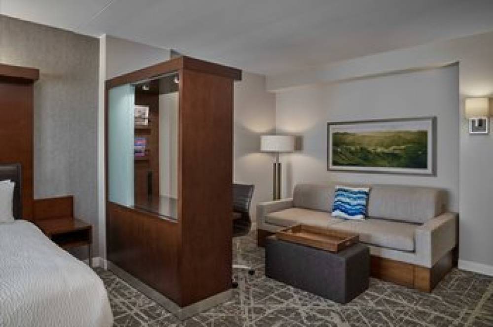 SpringHill Suites By Marriott Denver Downtown 10