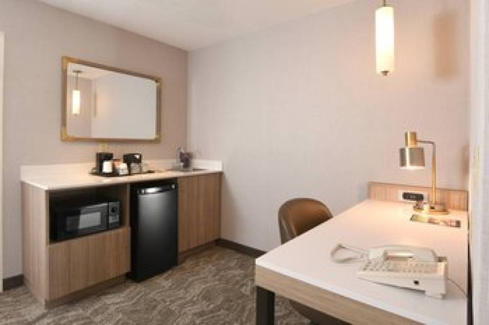 SpringHill Suites By Marriott Des Moines West 9