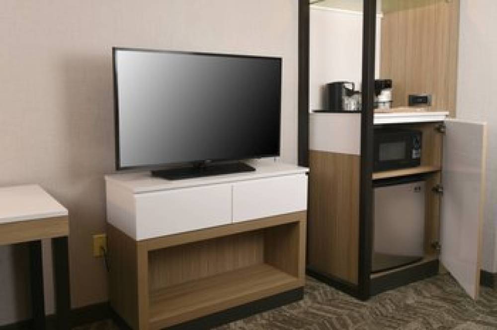 SpringHill Suites By Marriott Des Moines West 3