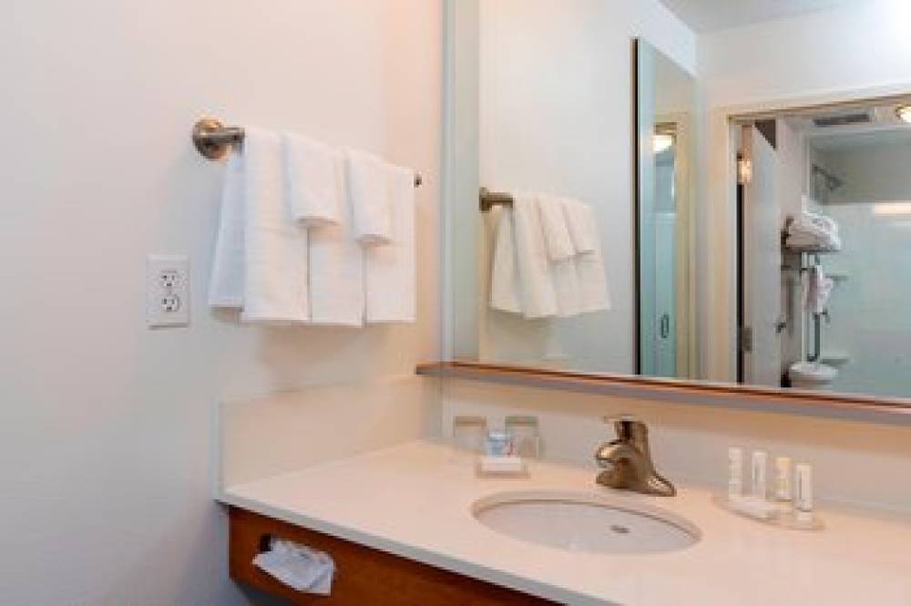 SpringHill Suites By Marriott Detroit Auburn Hills 9