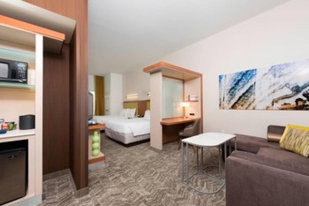 SpringHill Suites By Marriott Detroit Auburn Hills 5