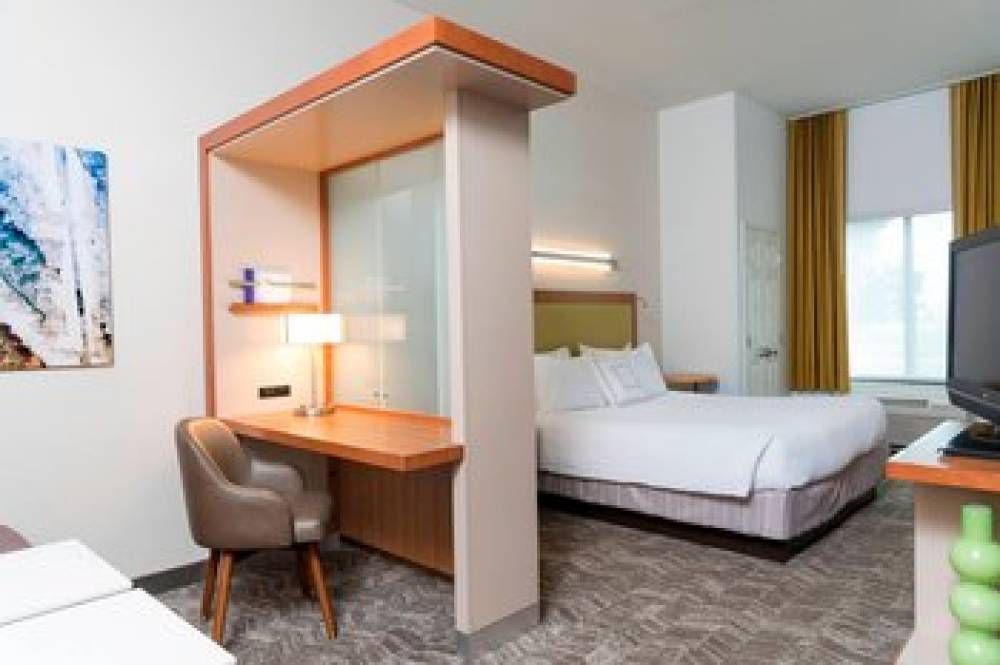 SpringHill Suites By Marriott Detroit Auburn Hills 7