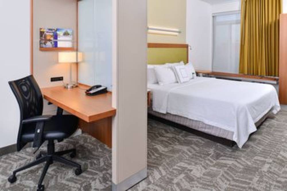 SpringHill Suites By Marriott Detroit Metro Airport Romulus 10