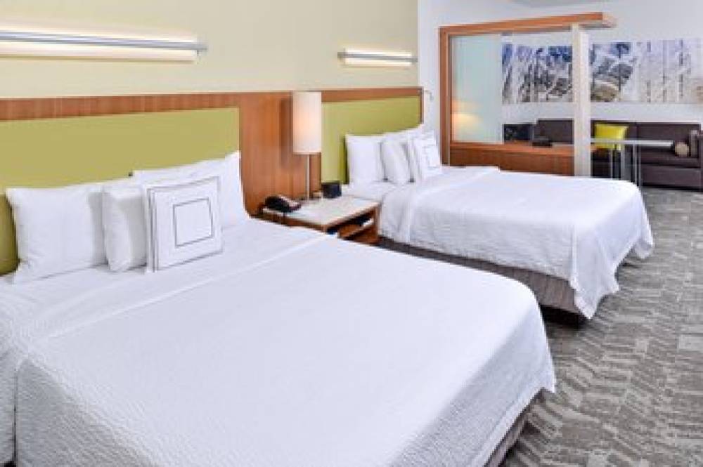 SpringHill Suites By Marriott Detroit Metro Airport Romulus 9