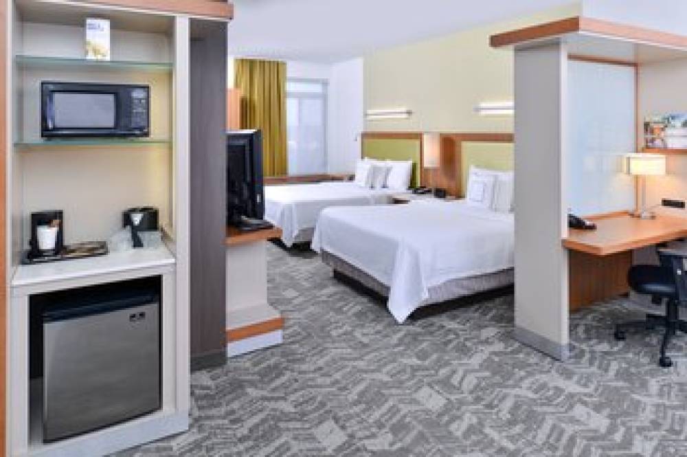 SpringHill Suites By Marriott Detroit Metro Airport Romulus 7