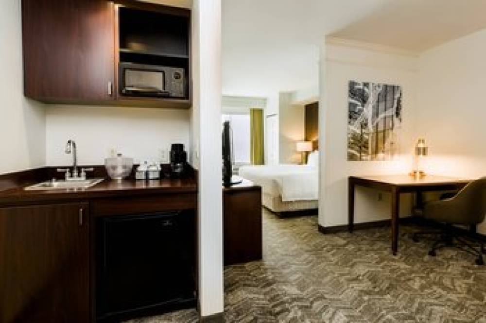 SpringHill Suites By Marriott Florence 10