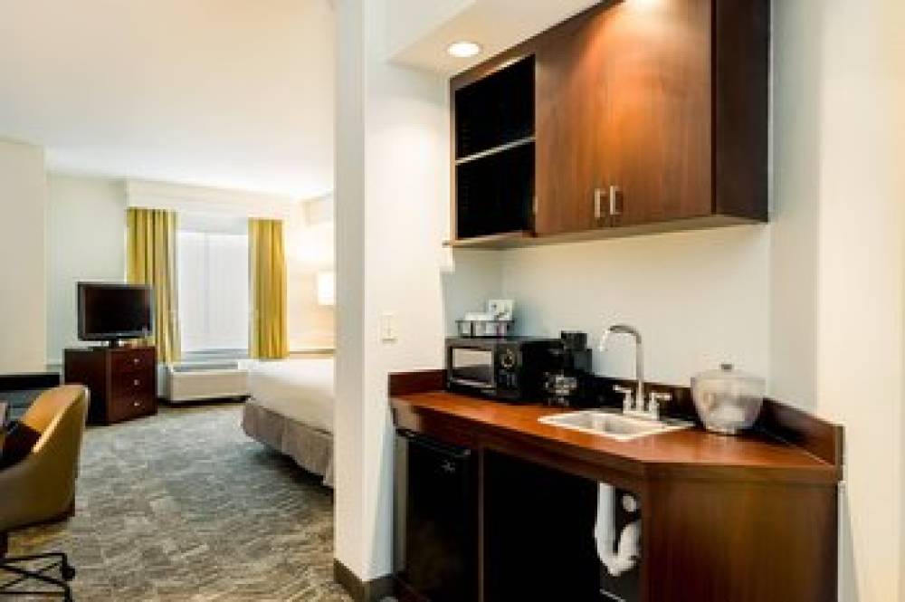 SpringHill Suites By Marriott Florence 8