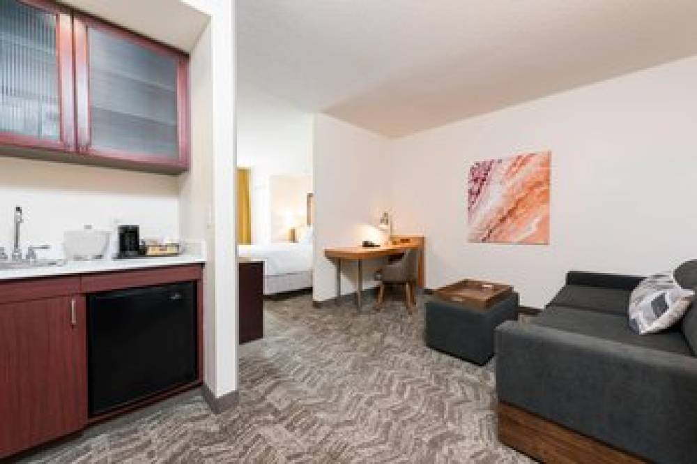 SpringHill Suites By Marriott Grand Rapids North 10