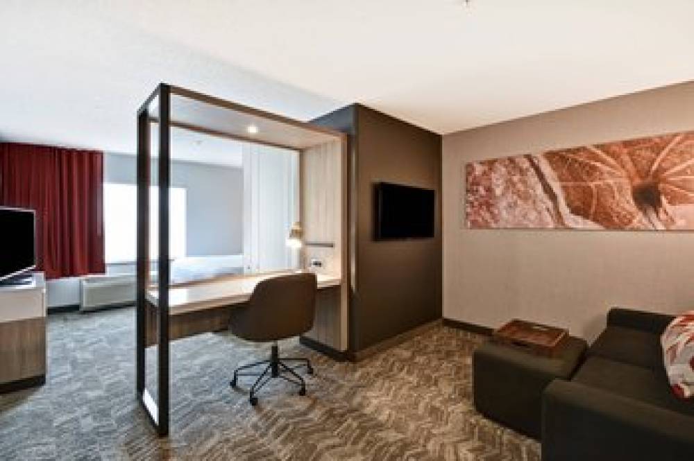 SpringHill Suites By Marriott Indianapolis Airport Plainfield 7