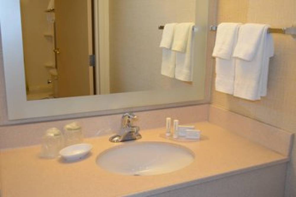 SpringHill Suites By Marriott Lansing 9