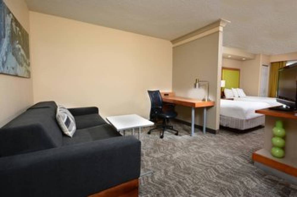 SpringHill Suites By Marriott Lynchburg Airport University Area 9