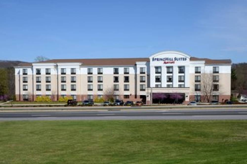 SpringHill Suites By Marriott Lynchburg Airport University Area 2